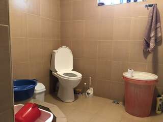 Загородные дома Kobuleti Village Guest House Кобулети Двухместный номер Делюкс с 1 кроватью или 2 отдельными кроватями-5